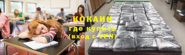 крисы Абаза