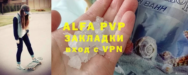 крисы Абаза
