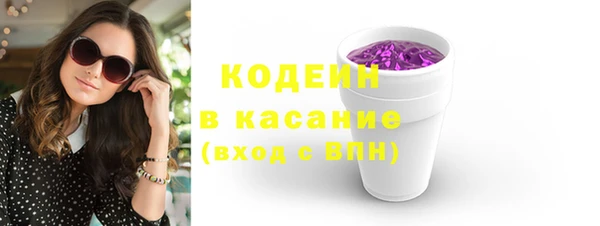 крисы Абаза