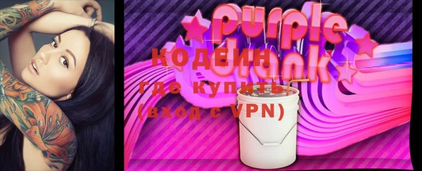крисы Абаза