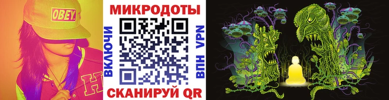 Галлюциногенные грибы Psilocybe Таганрог